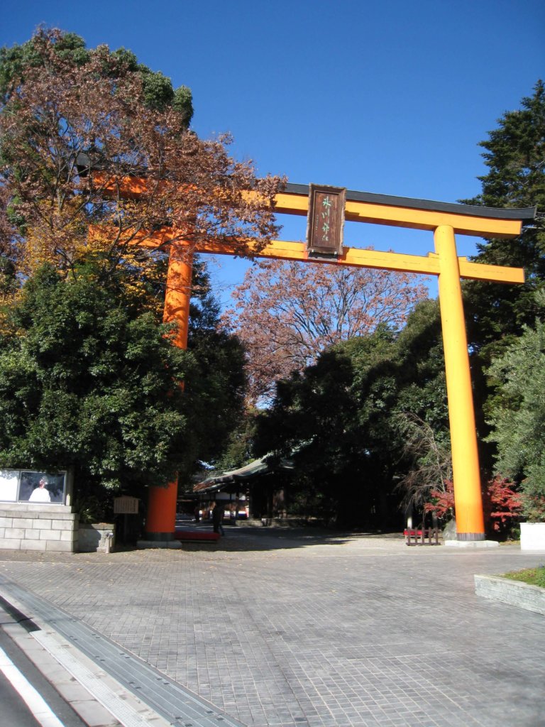 川越氷川神社 大鳥居