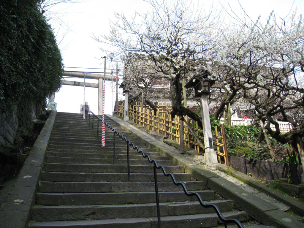 湯島天満宮 男坂