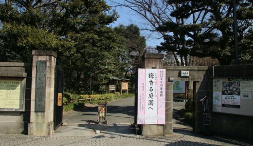 小石川後楽園 梅香る庭園へ