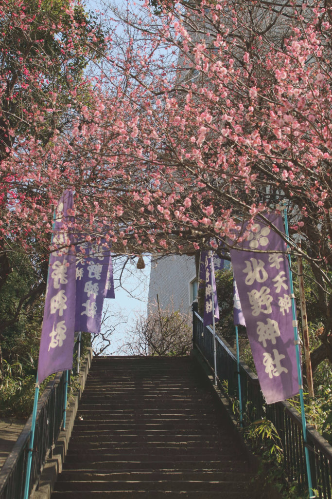 北野神社 階段