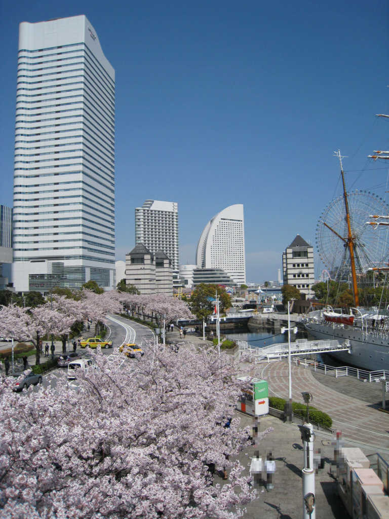 さくら通り 横浜ランドマークプラザ通路より