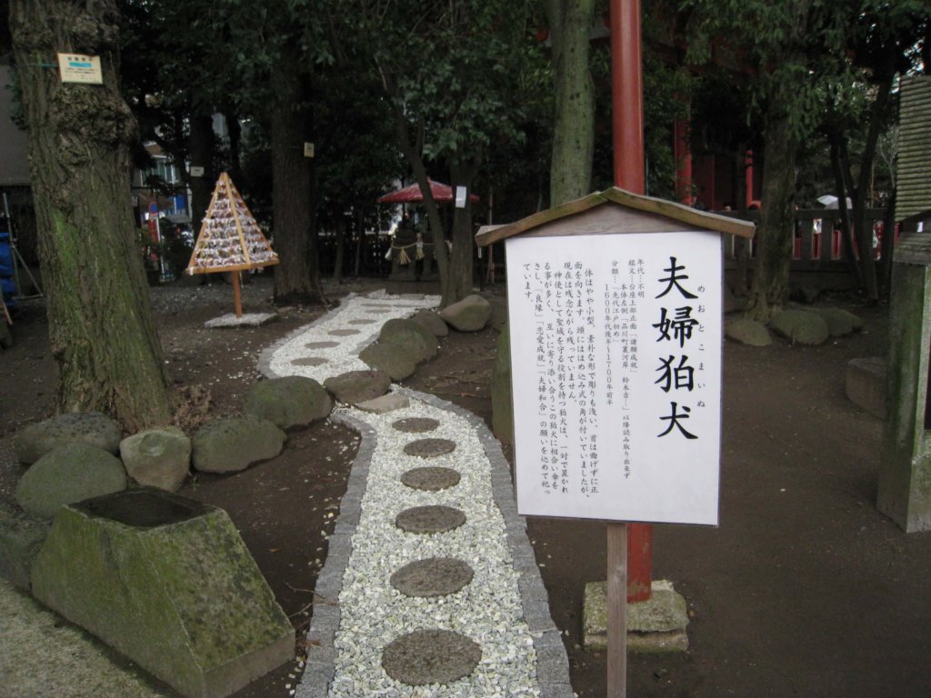 浅草神社 夫婦狛犬