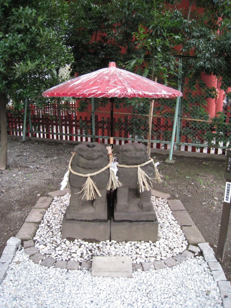 浅草神社 夫婦狛犬