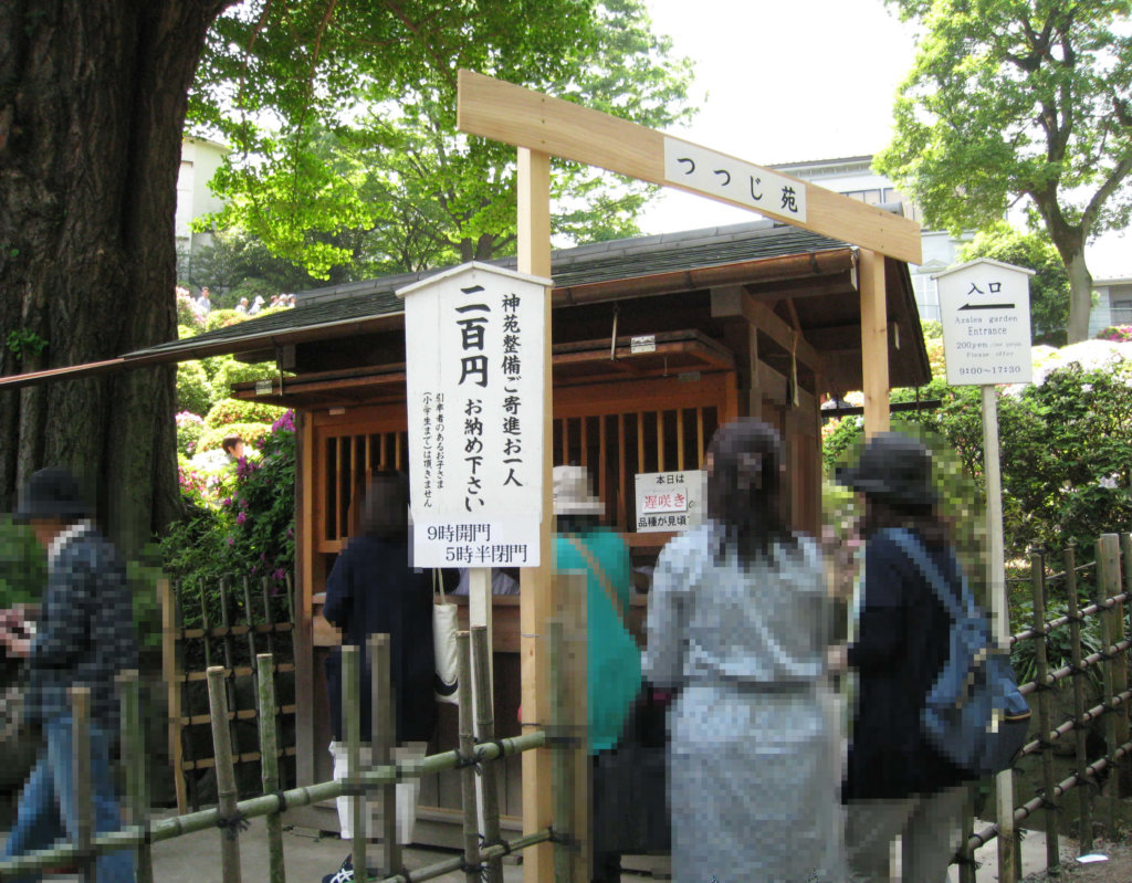 根津神社 つつじ苑