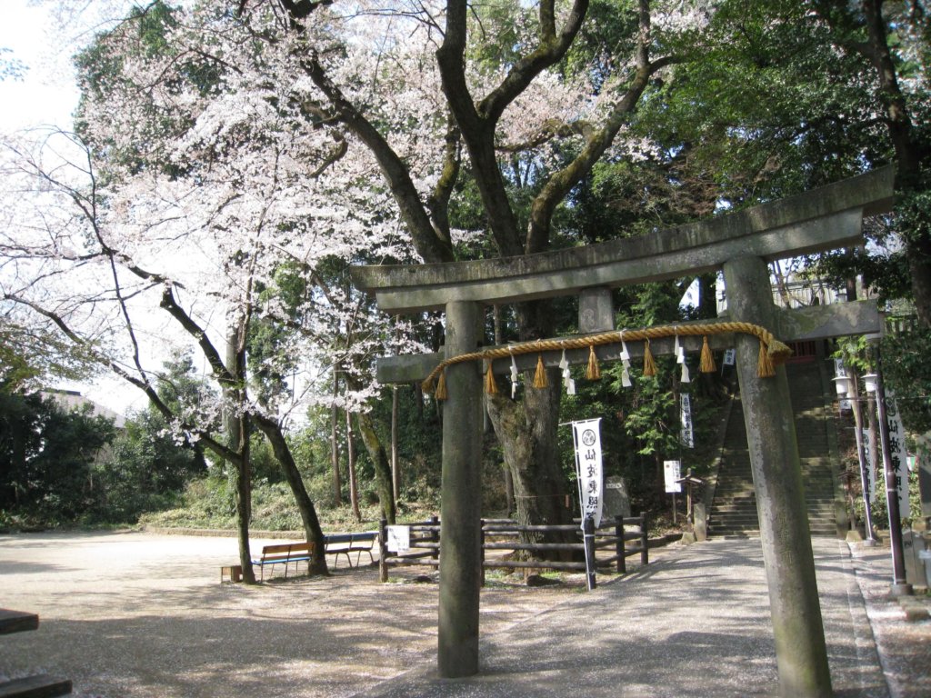 仙波東照宮 鳥居