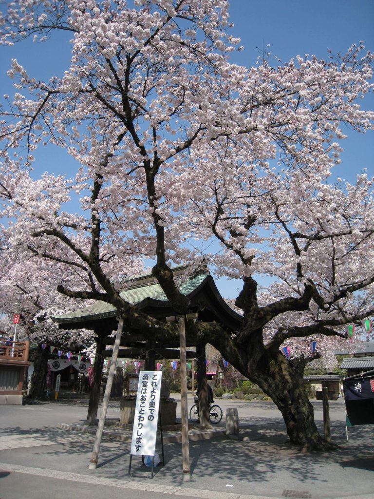 喜多院 水屋