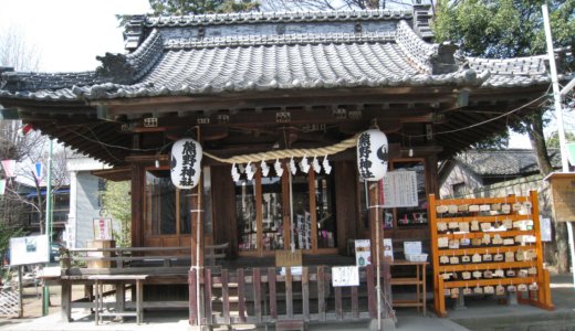 弥生(やよい) / 川越熊野神社　川越市