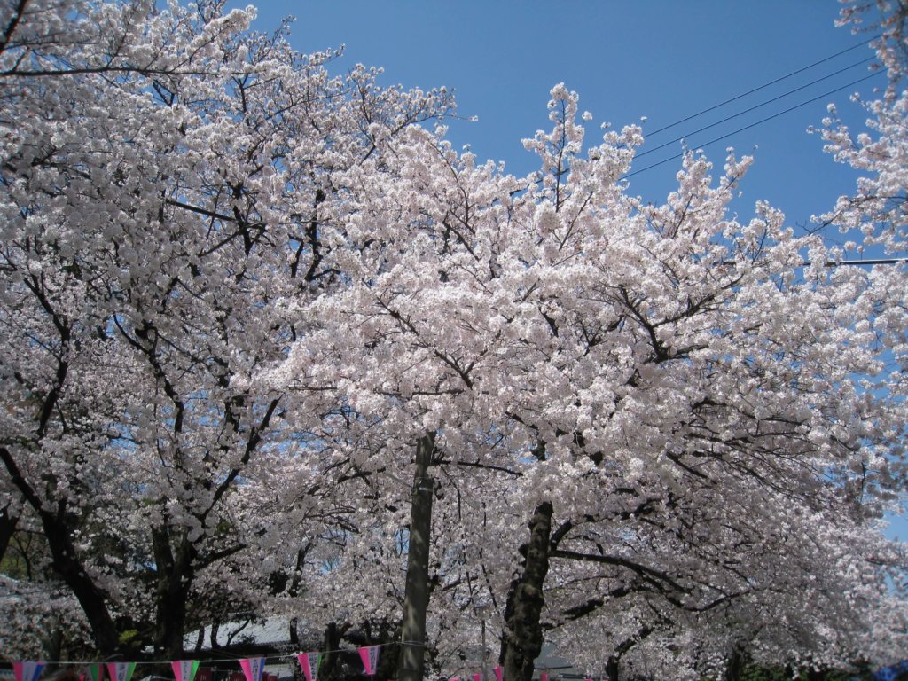 蓮馨寺