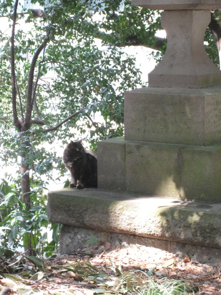 代々木八幡宮 ねこちゃん