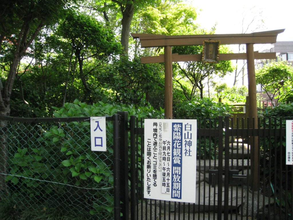 白山神社 浅間神社