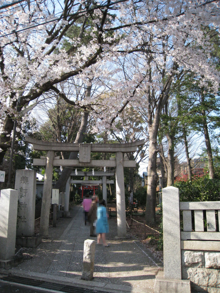 自由が丘熊野神社 鳥居