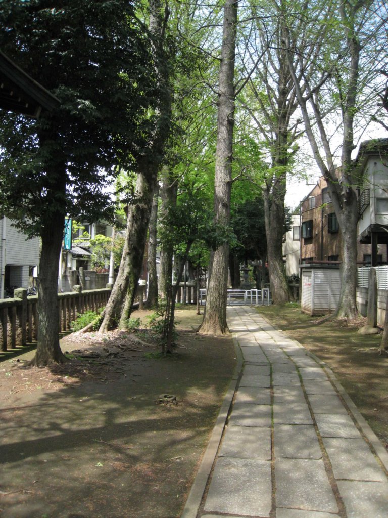 白山神社 参道