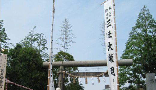 浅草神社(三社様)　平成27年　三社祭　15日